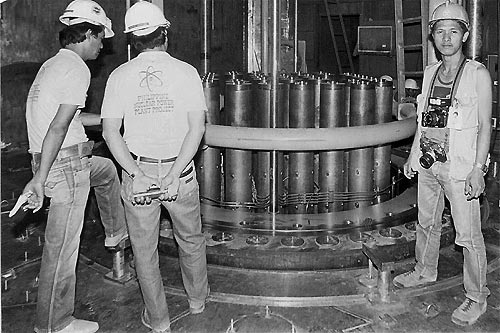 Essay on nuclear power plant