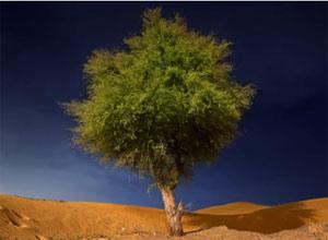 UAE Pinoy photos