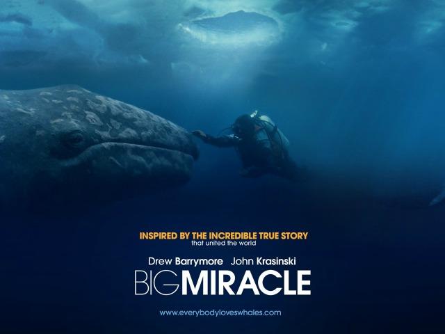 Movie Review Small Wonders In Big Miracle Movie Review Small Wonders In Big Miracle