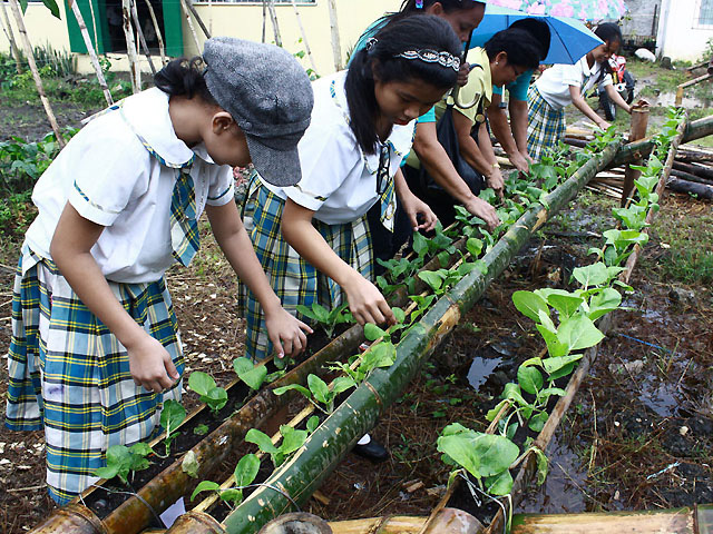 DepEd targets 42k pupils for feeding program | News | GMA News Online