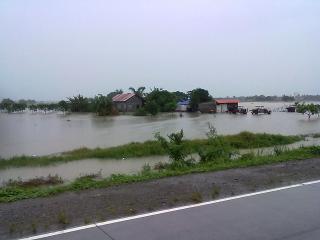 Plaridel, Bulacans rice land severely damaged by flood