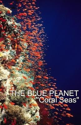 blue planet sea of life coral seas