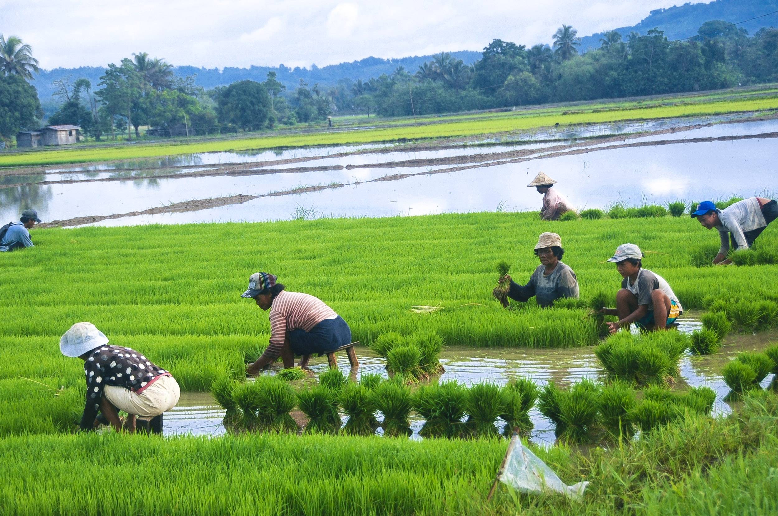  Agricultural Growth 