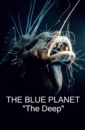 blue planet deep sea