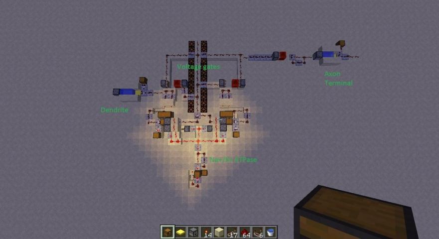 Gamer makes functioning neuron in Minecraft